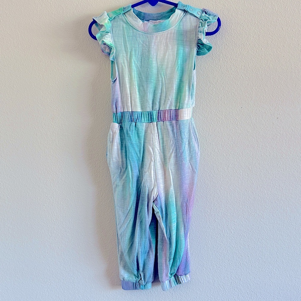 NWOT I Love Plum Watercolor Romper with Pockets 2Y 2T Plum NYC